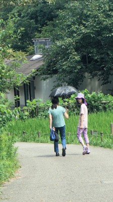 DSC03287